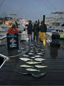 Virginia Beach Report Photo 2
