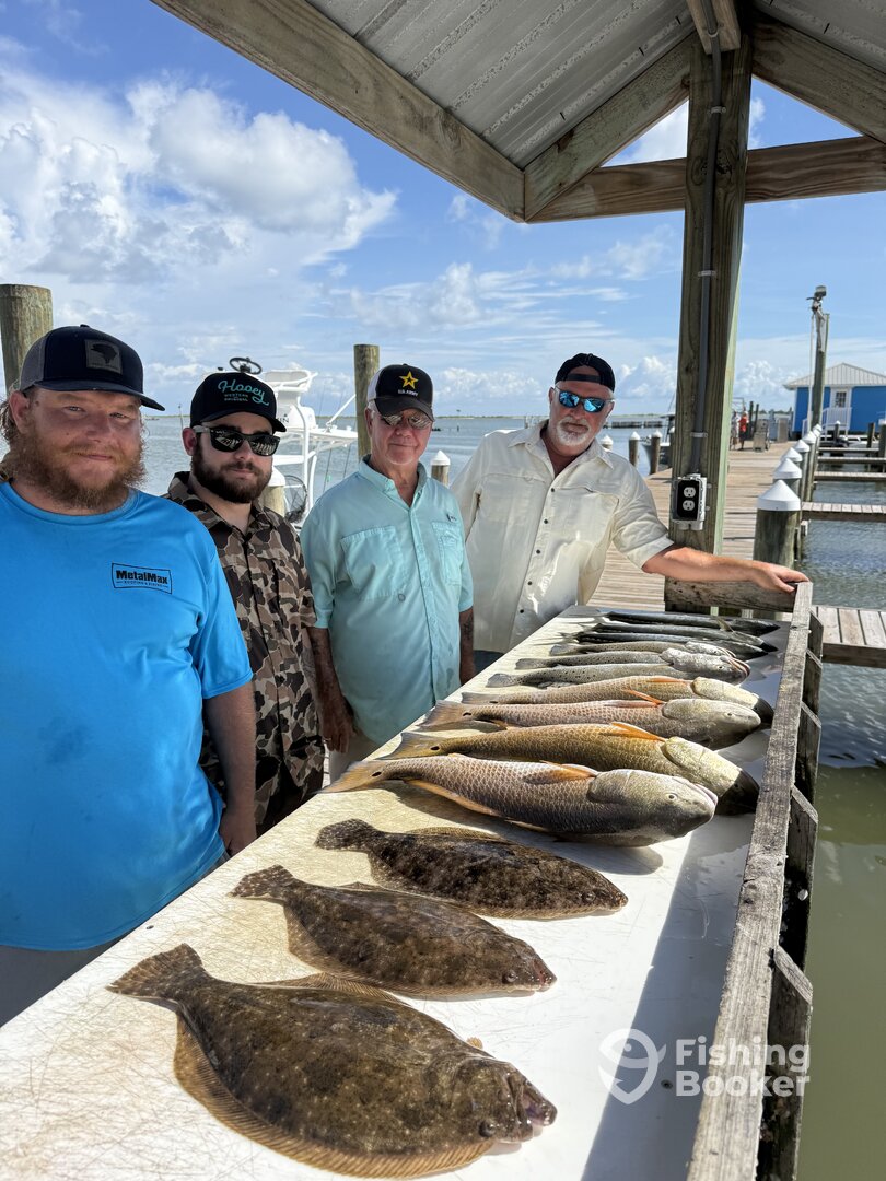 Dauphin Island Report Photo 0