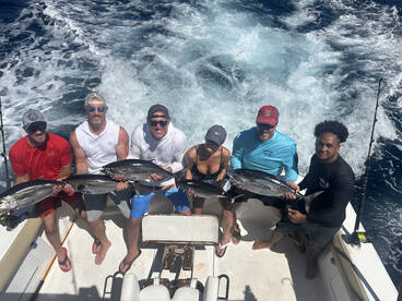 Dominican Republic Report Photo 2