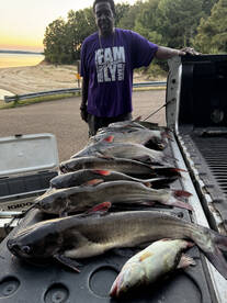 Mississippi Report Photo 2