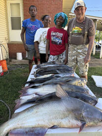 Mississippi Report Photo 1