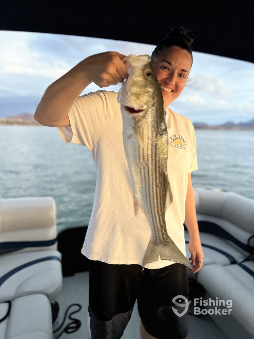 Lake Havasu City Report Photo 0