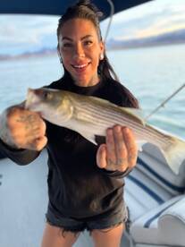 Lake Havasu City Report Photo 1