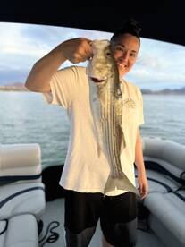 Lake Havasu 9/27/25 Fishing Report