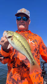 Branson Report Photo 1