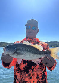 Branson Report Photo 2