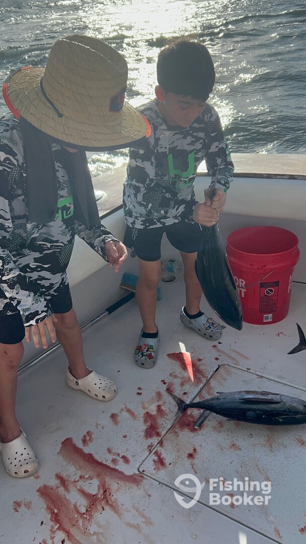 Pompano Beach Report Photo 0