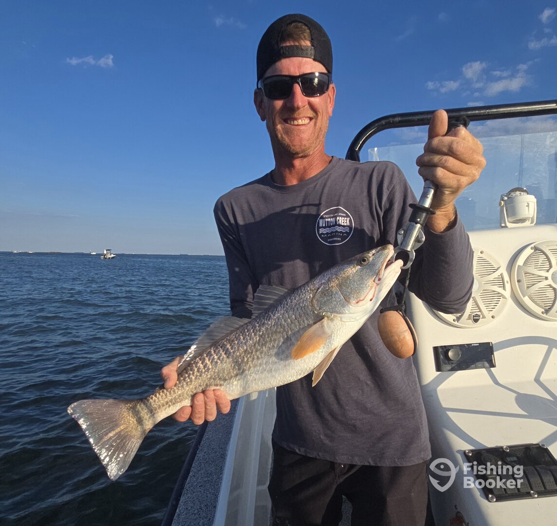 Galveston Report Photo 0