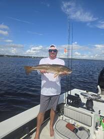 Ormond Beach Report Photo 2