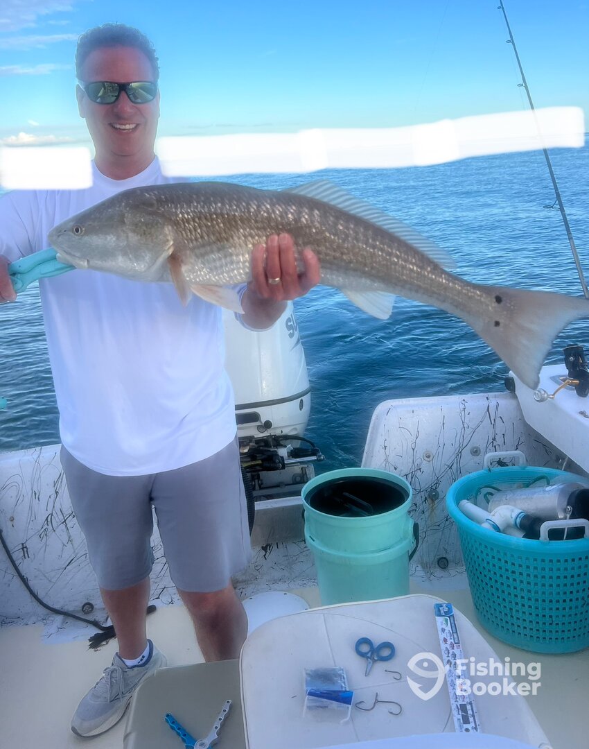 St. Petersburg Report Photo 0