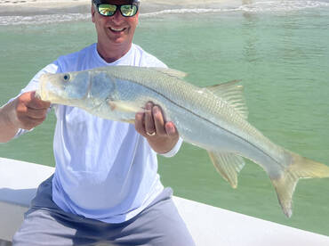 St. Petersburg Report Photo 1