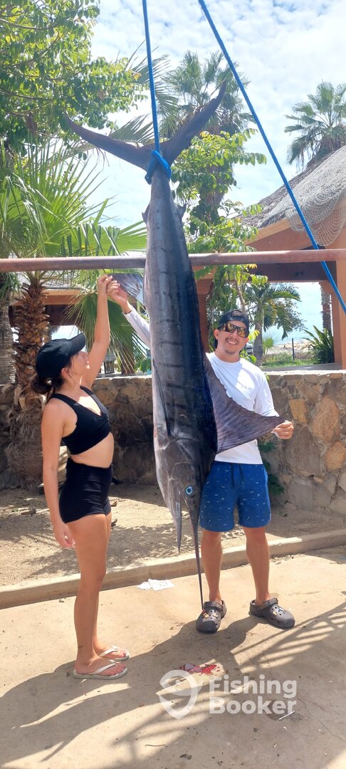 San Jose del Cabo Report Photo 0