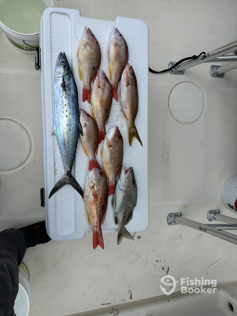 Nokomis Report Photo 0