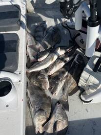 Port Aransas Report Photo 2