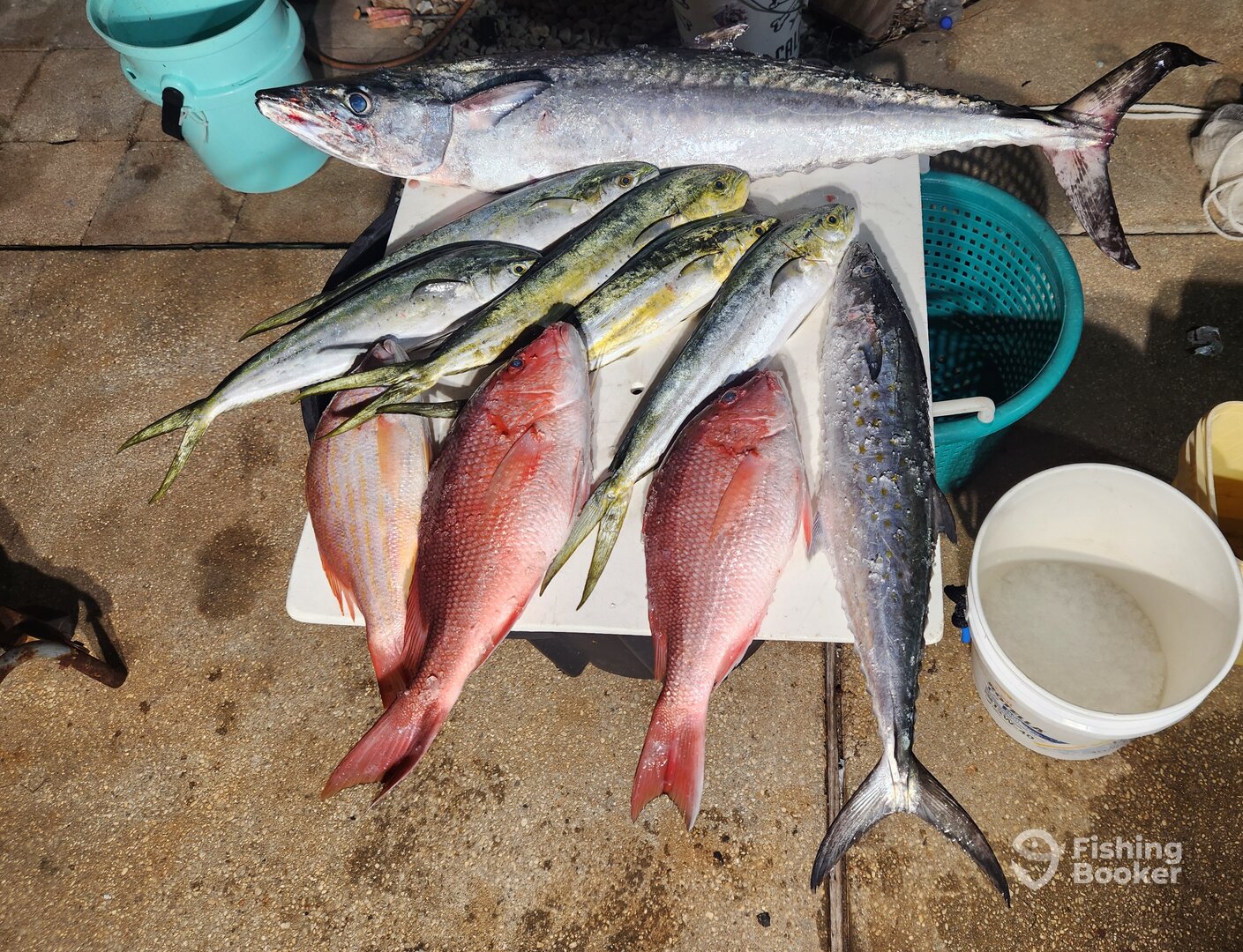 Pensacola Beach Report Photo 0