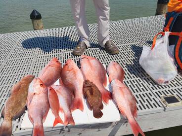 Pensacola Beach Report Photo 1