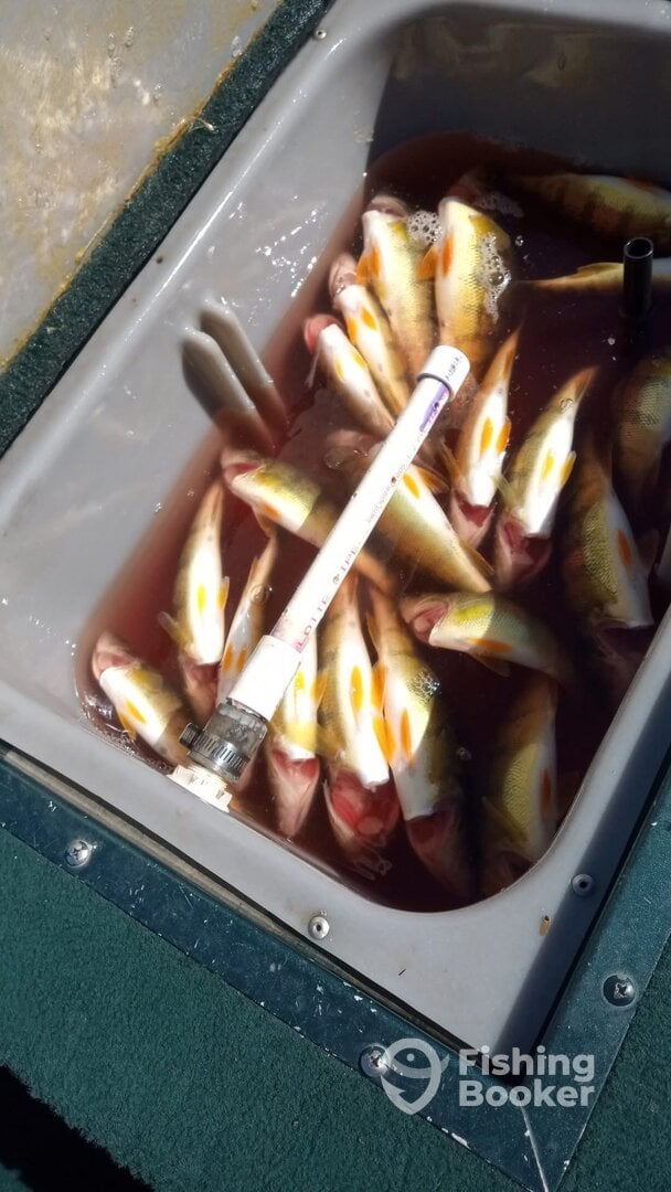 Lake St. Clair Report Photo 0