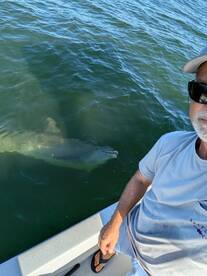 Bay Pines Report Photo 1