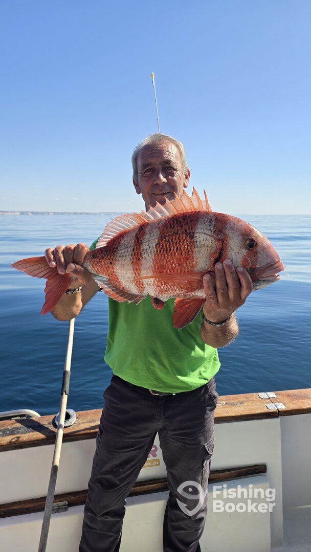 Alvor Report Photo 0