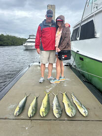 Dania Beach Report Photo 1