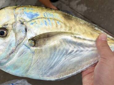 Great fall fishing is heating up!!!