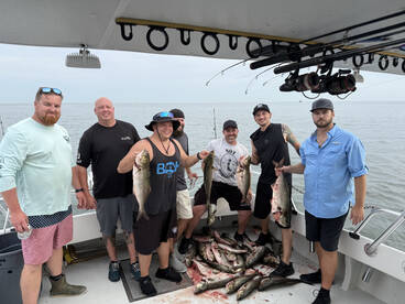 Solomons Report Photo 1