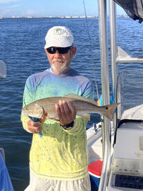Sarasota Report Photo 1