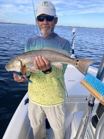 Sarasota Report Photo 2