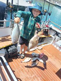 Airlie Beach Report Photo 1