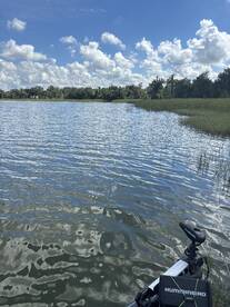Orlando Report Photo 1