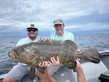 Naples Report Photo 2