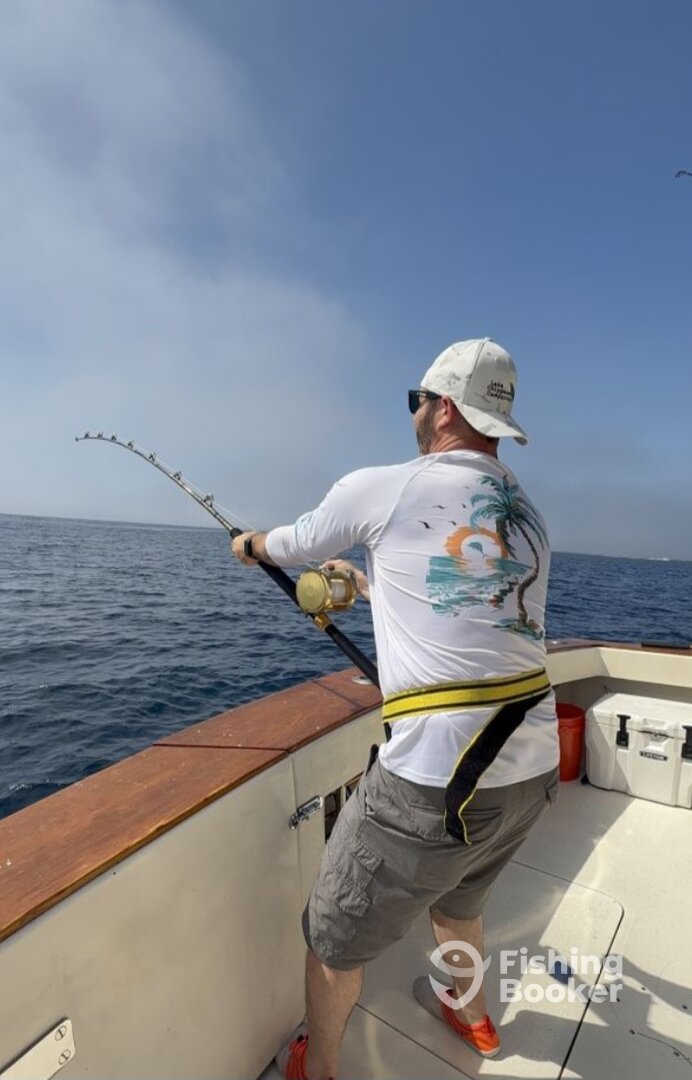 Dana Point Report Photo 0