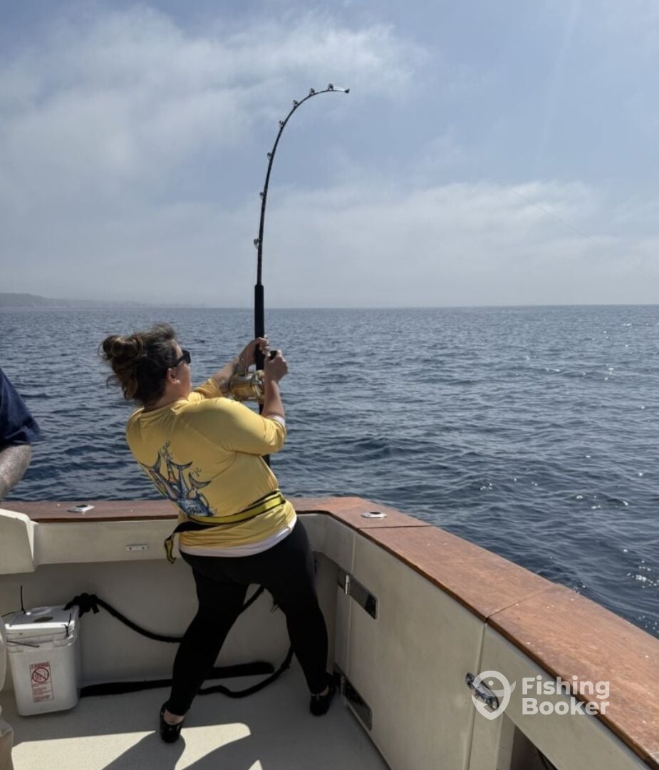 Dana Point Report Photo 0