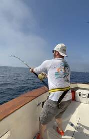 Dana Point Report Photo 1