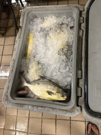Port Canaveral Report Photo 2