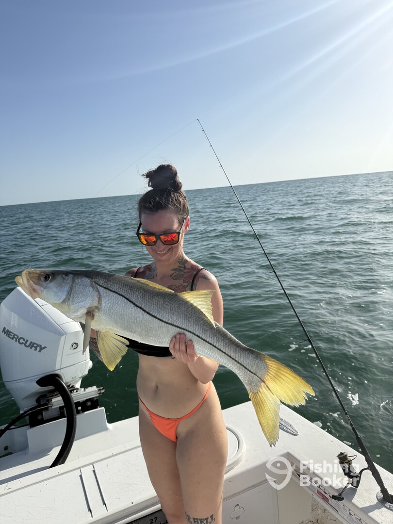 Gulf of Mexico Report Photo 0