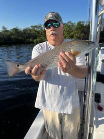 Anna Maria Island Report Photo 2