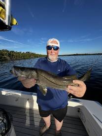 Palmetto Report Photo 1