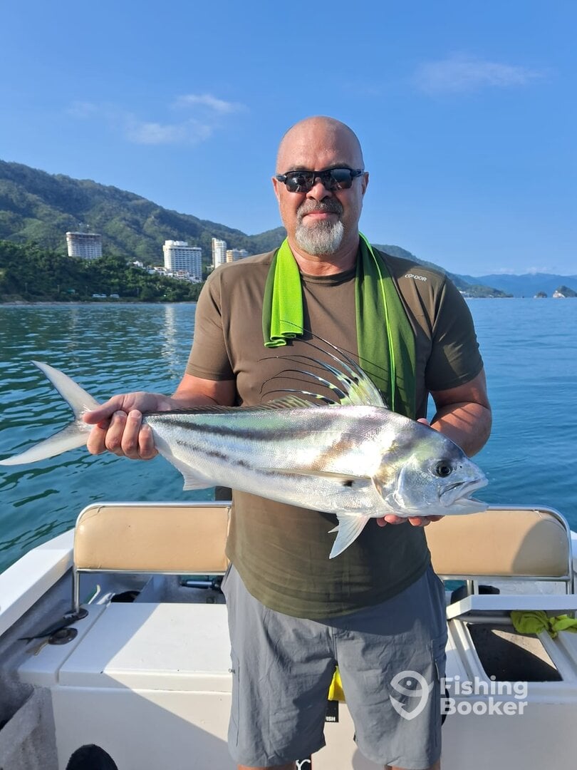 Puerto Vallarta Report Photo 0