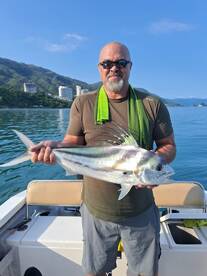 Puerto Vallarta Report Photo 2
