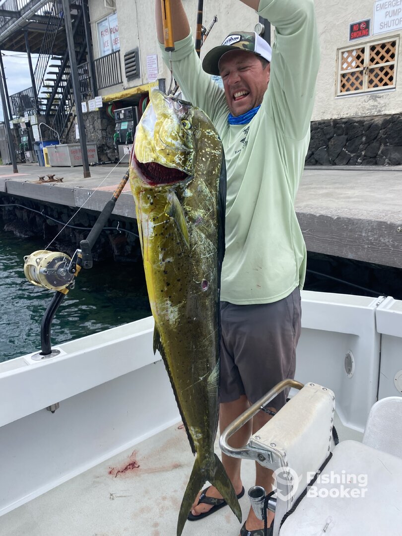 Mahi
