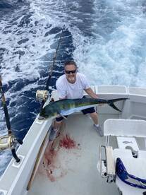 The Big Island Report Photo 3