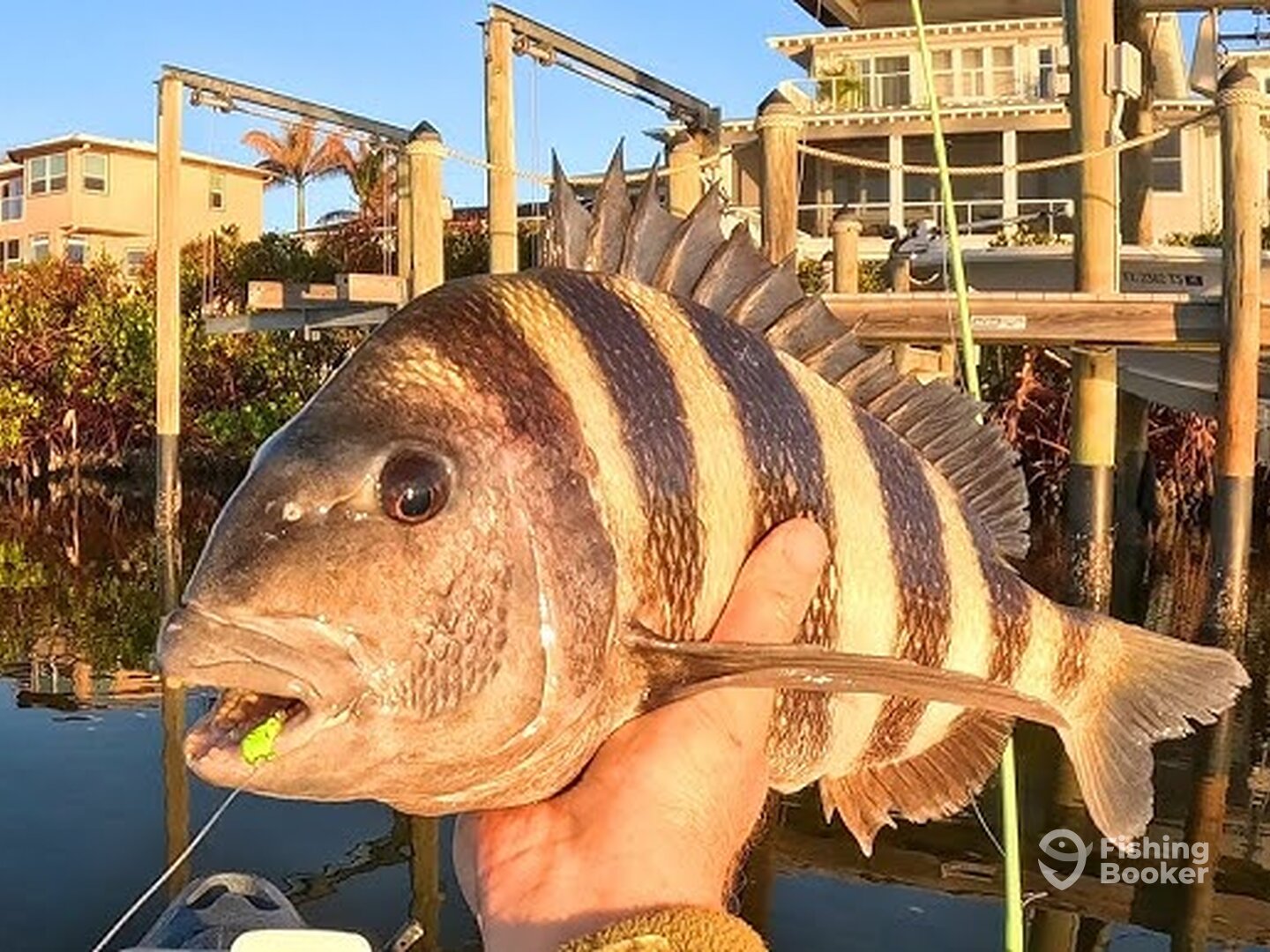Clearwater Report Photo 0