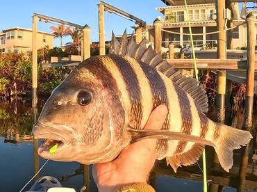 October 2nd – Bridge & Dock Fishing for