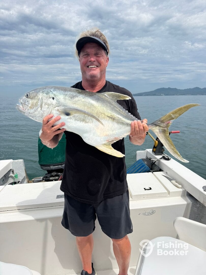 Puerto Vallarta Report Photo 0