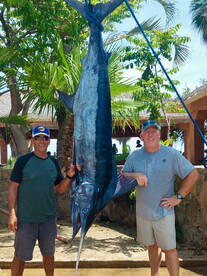 DALIKEN SPORTFISHING BOOK NOW