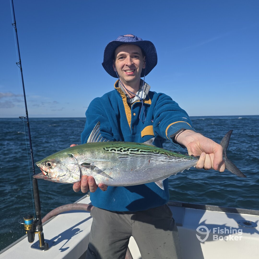 Narragansett Report Photo 0