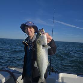 Narragansett Report Photo 1