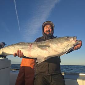 Rhode Island Report Photo 2