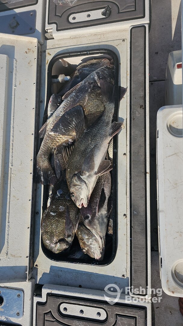 Port Aransas Report Photo 0